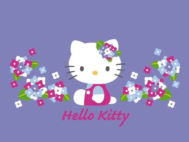 Gambar kucing comel kucing comel