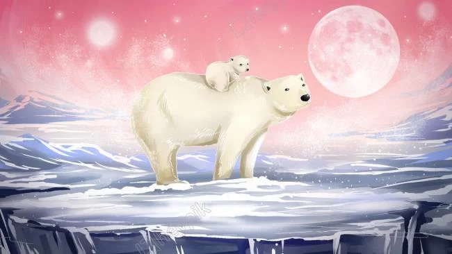 Top pictures of beautiful polar bears attract people to look at