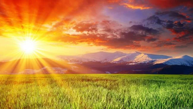 Resumen de las imágenes más bellas del sol.