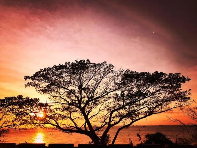 Denizde güzel günbatımı görüntüleri özeti