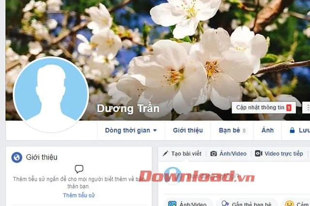 Facebook personal page interface