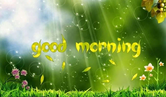 Feliz dia novo imagem tem muitos significados