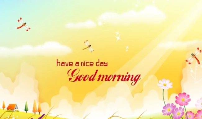 Feliz dia novo imagem tem muitos significados