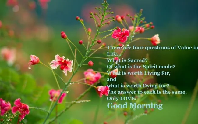 Feliz dia novo imagem tem muitos significados