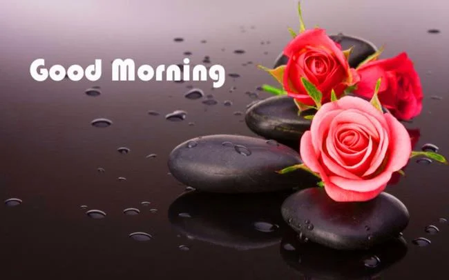 Feliz dia novo imagem tem muitos significados