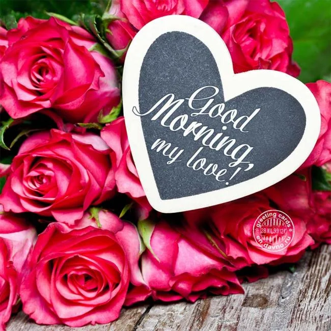 Feliz dia novo imagem tem muitos significados