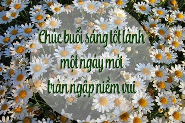 Feliz dia novo imagem tem muitos significados