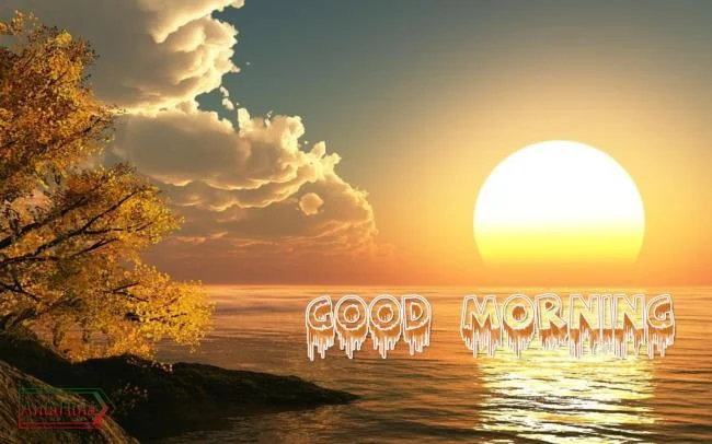 Feliz dia novo imagem tem muitos significados