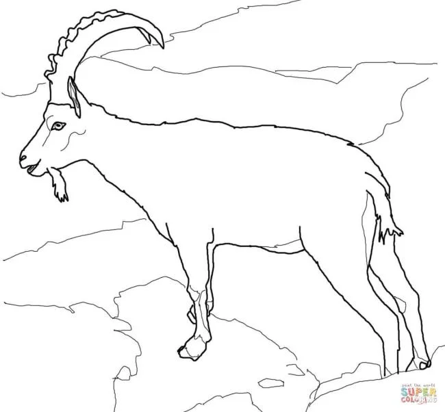 Koleksi gambar pewarna kambing lucu terbaik untuk kanak-kanak