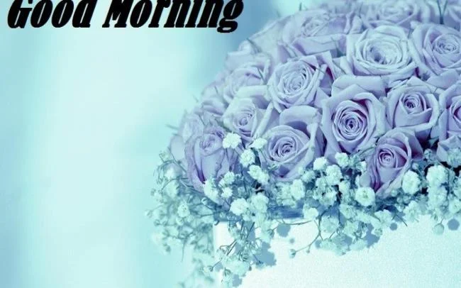 Feliz dia novo imagem tem muitos significados