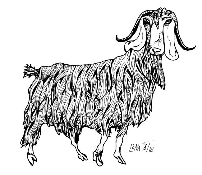 Koleksi gambar pewarna kambing lucu terbaik untuk kanak-kanak