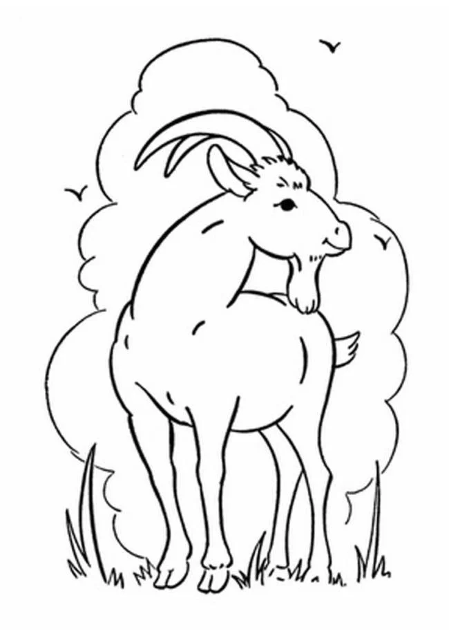Koleksi gambar pewarna kambing lucu terbaik untuk kanak-kanak