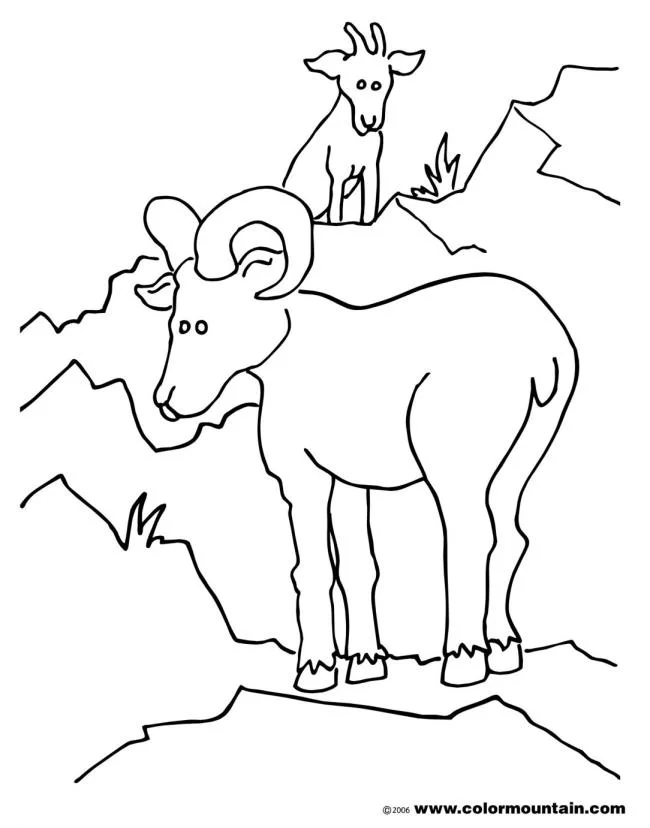 Koleksi gambar pewarna kambing lucu terbaik untuk kanak-kanak