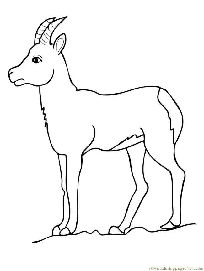 Koleksi gambar pewarna kambing lucu terbaik untuk kanak-kanak