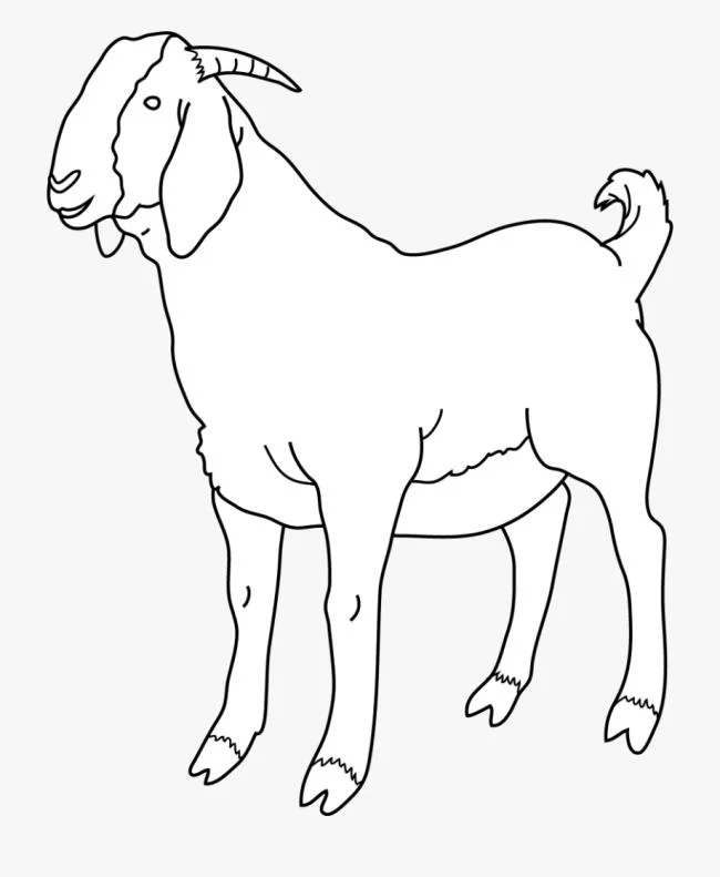 Koleksi gambar pewarna kambing lucu terbaik untuk kanak-kanak