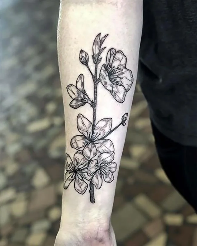 Colección de 50 muestras de tatuajes de sakura extremadamente hermosos y de calidad