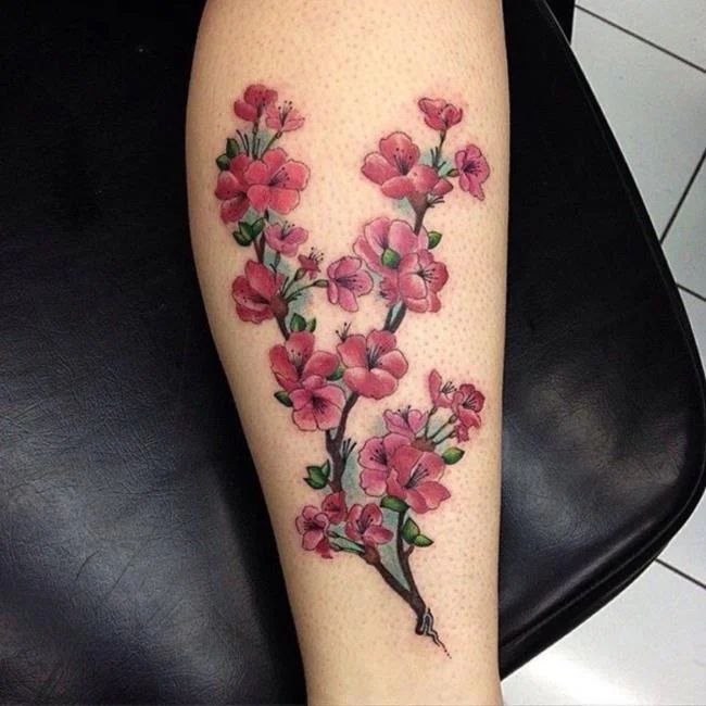 Colección de 50 muestras de tatuajes de sakura extremadamente hermosos y de calidad