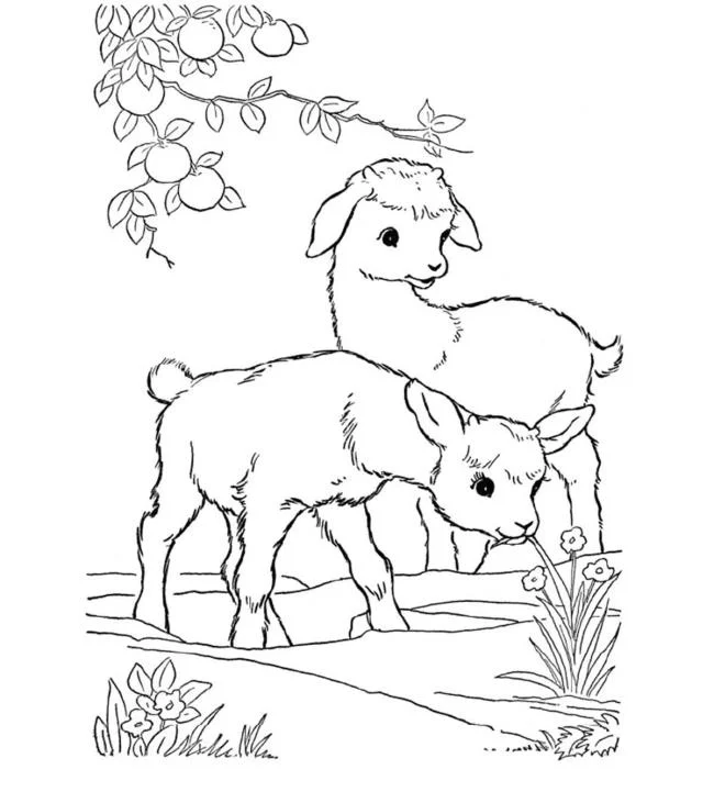 Koleksi gambar pewarna kambing lucu terbaik untuk kanak-kanak
