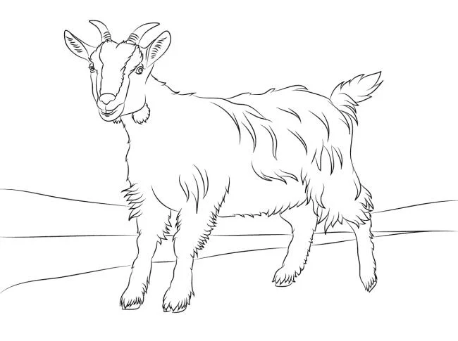 Koleksi gambar pewarna kambing lucu terbaik untuk kanak-kanak