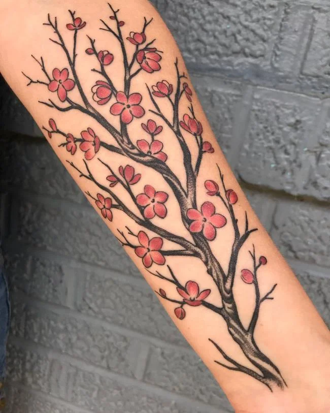 Colección de 50 muestras de tatuajes de sakura extremadamente hermosos y de calidad