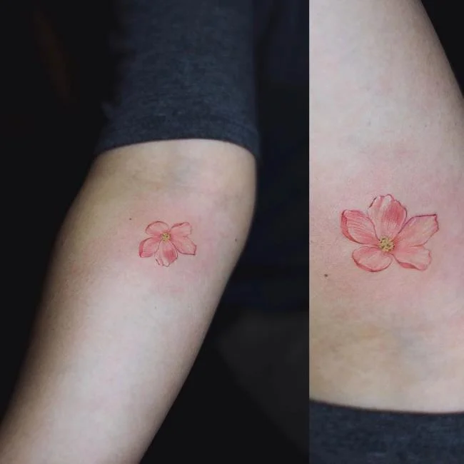 Colección de 50 muestras de tatuajes de sakura extremadamente hermosos y de calidad