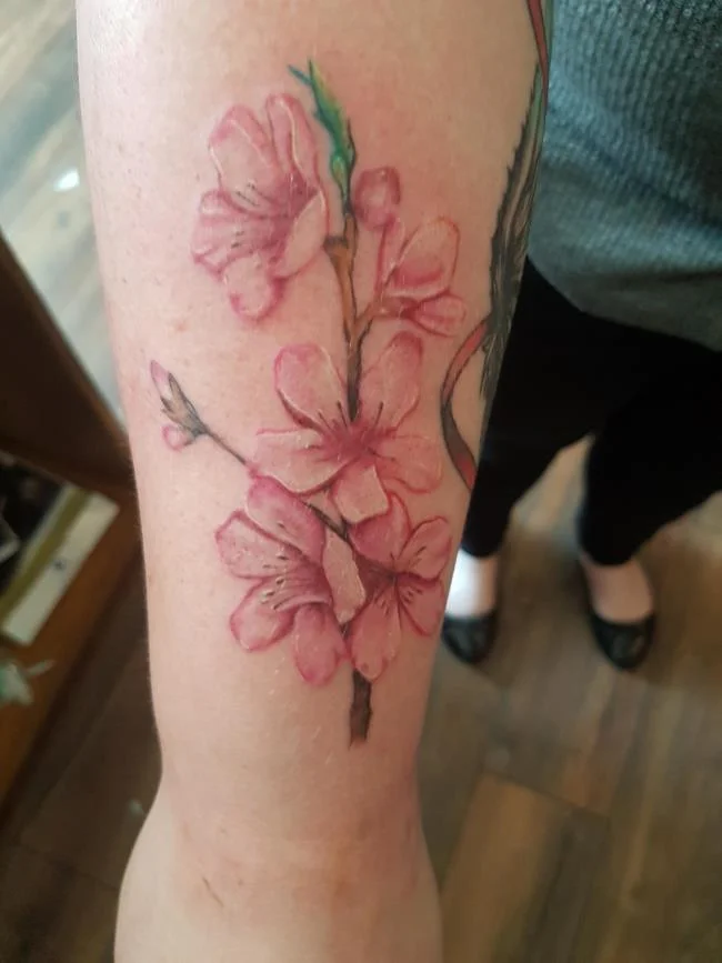 Colección de 50 muestras de tatuajes de sakura extremadamente hermosos y de calidad