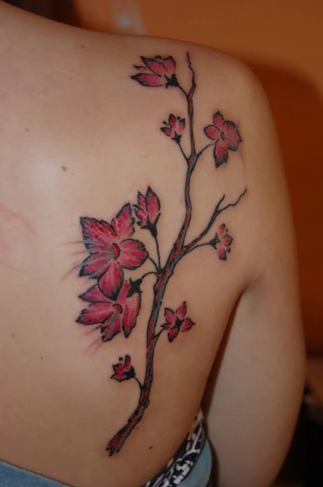 Colección de 50 muestras de tatuajes de sakura extremadamente hermosos y de calidad