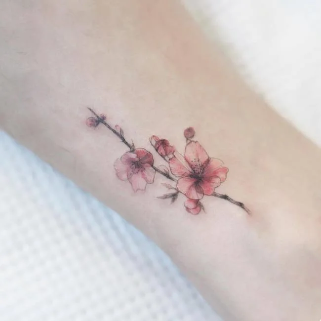 Colección de 50 muestras de tatuajes de sakura extremadamente hermosos y de calidad