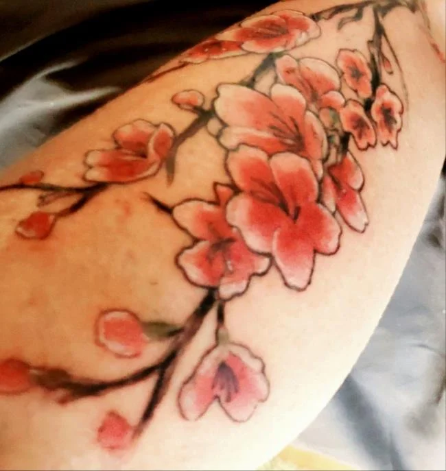 Colección de 50 muestras de tatuajes de sakura extremadamente hermosos y de calidad