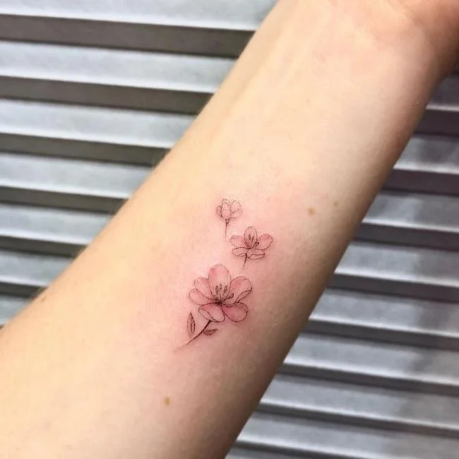 Colección de 50 muestras de tatuajes de sakura extremadamente hermosos y de calidad