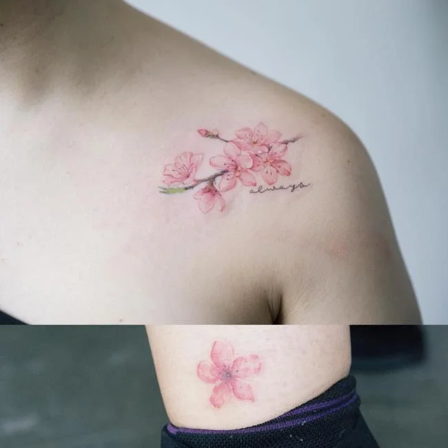 Colección de 50 muestras de tatuajes de sakura extremadamente hermosos y de calidad