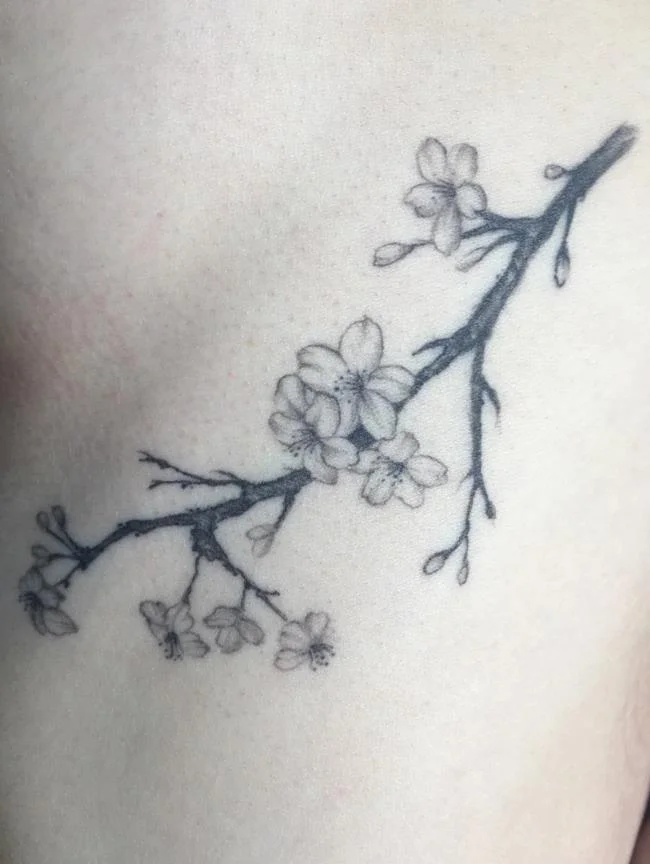 Colección de 50 muestras de tatuajes de sakura extremadamente hermosos y de calidad