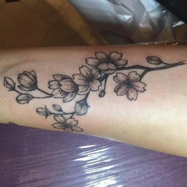 Colección de 50 muestras de tatuajes de sakura extremadamente hermosos y de calidad