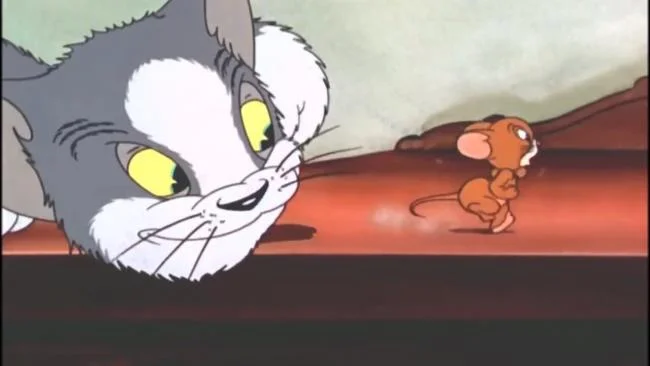 50 gambar teratas Tom dan Jerry sebagai kertas dinding yang indah