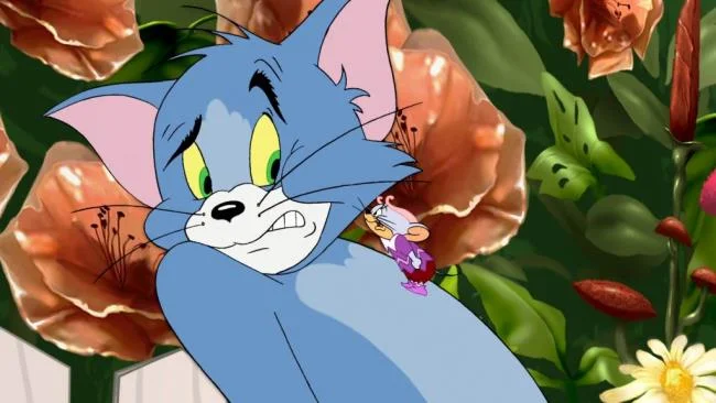 50 gambar teratas Tom dan Jerry sebagai kertas dinding yang indah