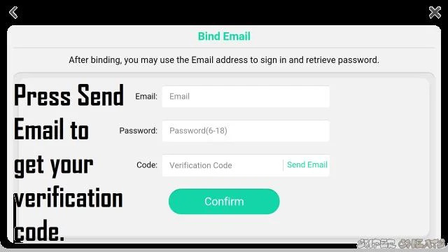 Verification Code Input for Email Binding in Dragon Raja