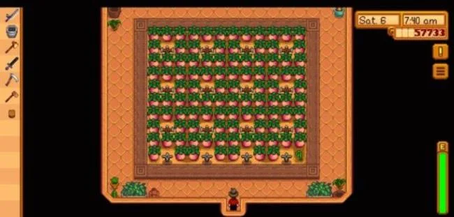 Trucs et astuces de Stardew Valley que tout le monde doit savoir