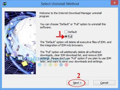 Istruzioni per rimuovere completamente Internet Download Manager