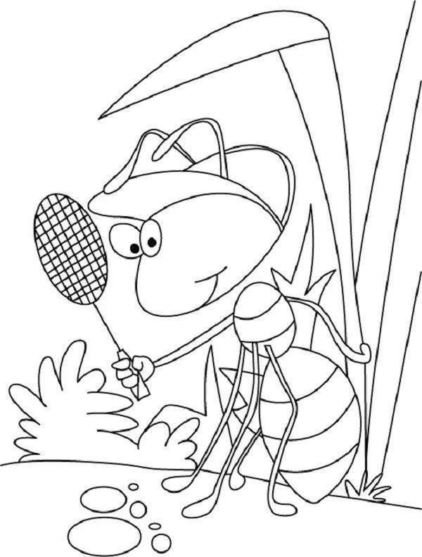 ant and grasshopper coloring pages | New Coloring Pages | Boyama sayfaları,  Karıncalar, Böcek
