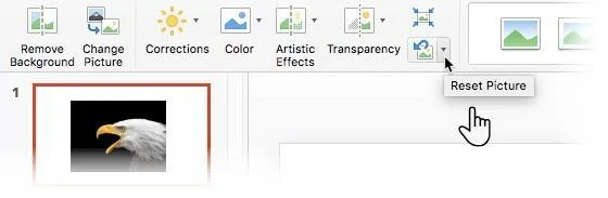 Come creare immagini trasparenti in Microsoft PowerPoint