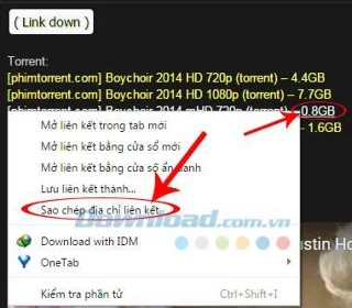 Come scaricare file Torrent utilizzando Internet Download Manager (IDM)