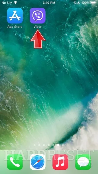 downloaded Viber app