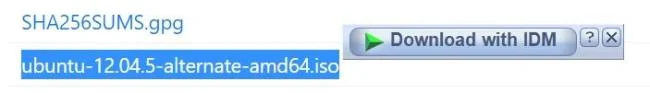 IDM Download Panel