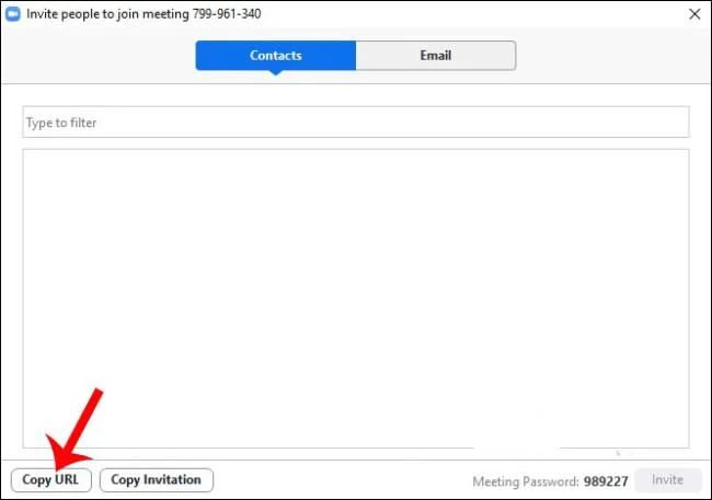Software Zoom para aprendizaje en línea