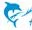 Windows 8 용 PixAnimator-무료 사진 비디오 디자인