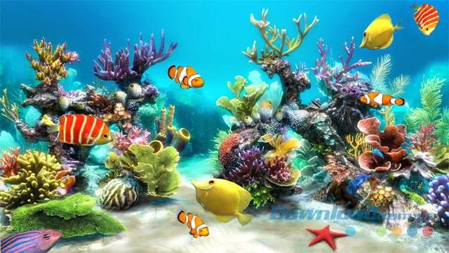 Sim Aquarium 4.0.0-컴퓨터 화면을 생생한 3D 수족관으로 전환 Sim Aquarium 4.0.0-컴퓨터 화면을 생생한 3D 수족관으로 전환