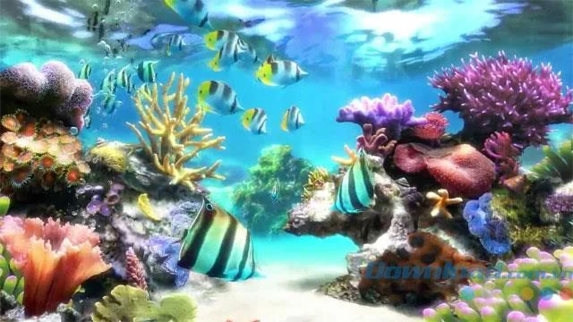 Sim Aquarium 4.0.0-컴퓨터 화면을 생생한 3D 수족관으로 전환