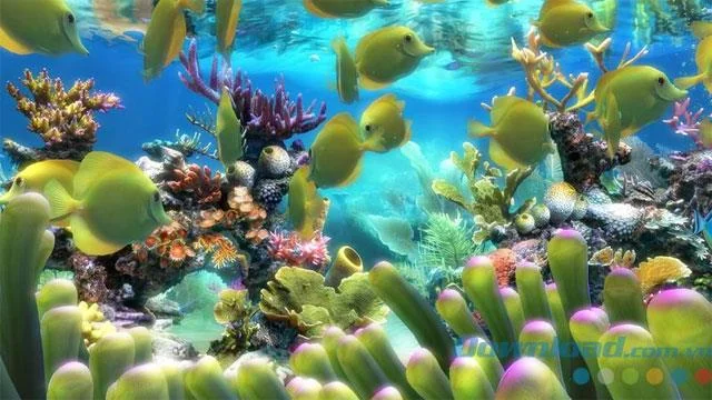 Sim Aquarium 4.0.0-컴퓨터 화면을 생생한 3D 수족관으로 전환