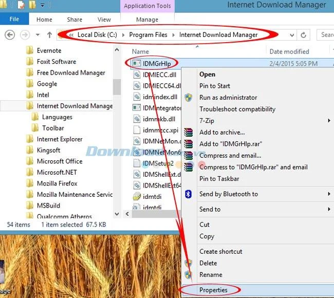 Cómo corregir el error IDM del número de serie falso