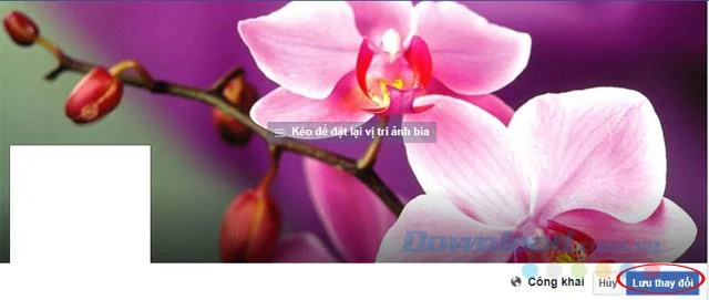 Change your avatar and Facebook cover photo